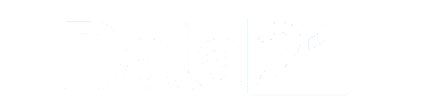 Data 21